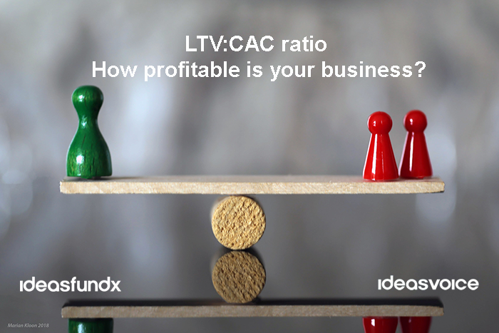 LTV CAC Ratio and Business Profitability